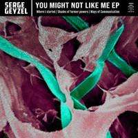 Serge Geyzel - You Might Not Like Me