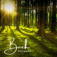 Johann Sebastian Bach - Invention in f minor, BWV 780 (Bach Classic Selection)