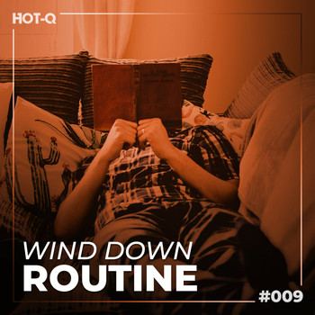 Various Artists - Wind Down Routine 009