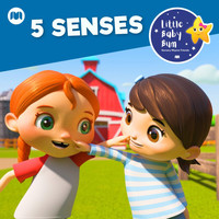 Little Baby Bum Nursery Rhyme Friends - 5 Senses