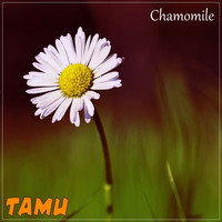 Tamu - Сhamomile