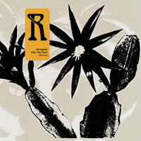 Rumpistol - After the Flood (Remixes)