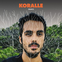 Koralle - Snakes