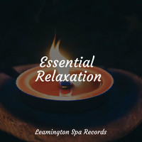 Mindfulness Meditation Universe, Big Sounds, Relaxing Mindfulness Meditation Relaxation Maestro - Bath Music