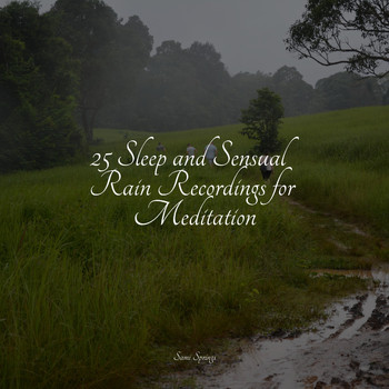 Sonidos de lluvia para dormir, Relaxing Nature Sounds Collection, Relaxed Minds - 25 Sleep and Sensual Rain Recordings for Meditation