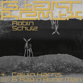 Calvin Harris, Rag'n'Bone Man - Giant (Robin Schulz Extended Remix)