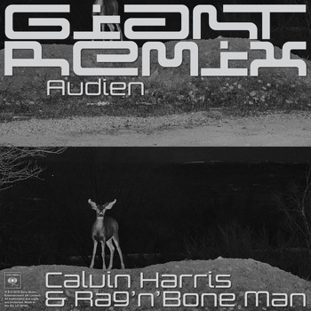 Calvin Harris, Rag'n'Bone Man - Giant (Audien Extended Remix)