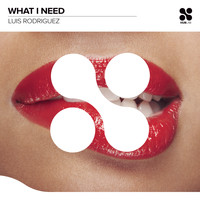 Luis Rodriguez - What I Need