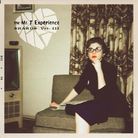 The Mr. T Experience - Mtx Shards, Vol. 3 (Explicit)