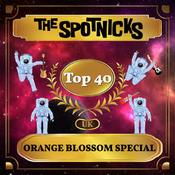 The Spotnicks - Orange Blossom Special (UK Chart Top 40 - No. 29)