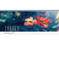 Zander - Flamboyant
