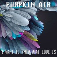 Pumpkin Air - I Want to Know What Love Is