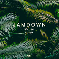T-Alien, DJ Nai - Jamdown