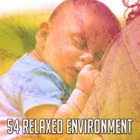 Sleep Baby Sleep - 54 Relaxed Environment