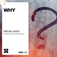 Special Guest - Why