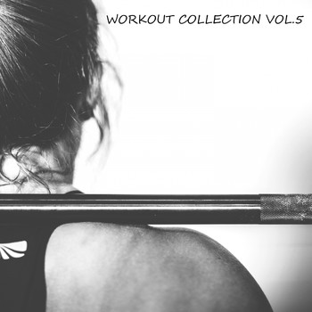 Various Artists - Workout Collection (Vol.5 [Explicit])