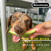 Misael Deejay - The Mod Boss Aka Octavio