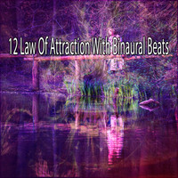 Binaural Beats Sleep - 12 Law of Attraction with Binaural Beats