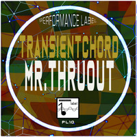Mr. ThruouT - Transientchord