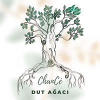 ChanCé - Dut Ağacı