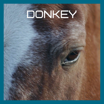 Various Artists - Donkey