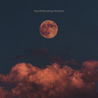 Muriël Bostdorp - Nocturne
