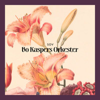 Bo Kaspers Orkester - Sov