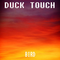 Duck Touch - Bird