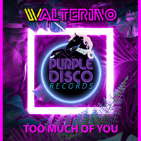 Walterino - Too Much of You