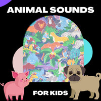 ASMR Earth - Animal Sounds For Kids