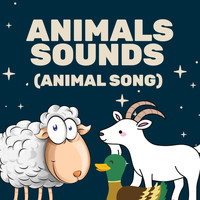 Animal Noise - Animals Sounds (Animal Song)