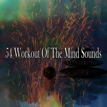 Massage Tribe - 54 Workout of the Mind Sounds