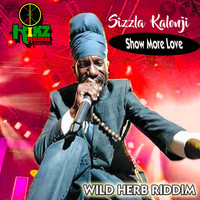 Sizzla Kalonji - Show More Love (Wild Herb Riddim)