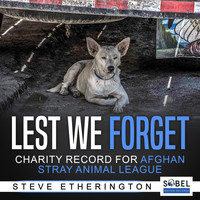 Steve Etherington - Lest We Forget