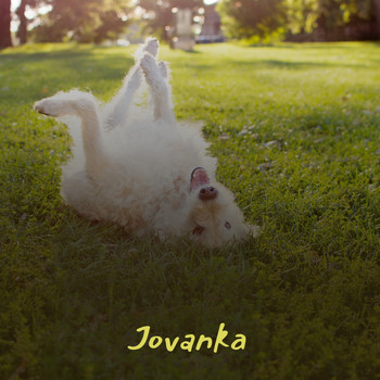 Various Artists - Jovanka