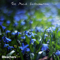Bleachers - Too Much Information