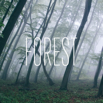 SoundAudio - Forest