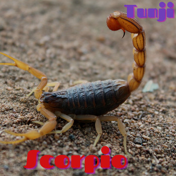Tunji - Scorpio