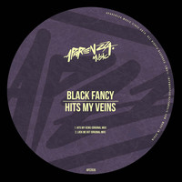 Black Fancy - Hits My Veins