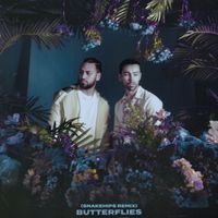 MAX & Ali Gatie - Butterflies (Snakehips Remix)