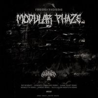 Modular Phaze - Forbidden Dimensions