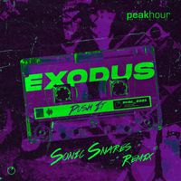 Exodus - Push It (Sonic Snares Remix)