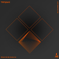 TINYgiant - Where Do My Knobs Go