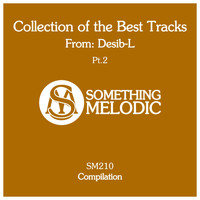 Desib-L - Collection of the Best Tracks From: Desib-L, Pt. 2