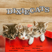 The Dixiecats featuring Dixieland All-Stars - The Dixiecats