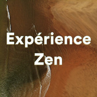Musique Zen, Musique relaxante, Relaxation Détente - Expérience zen