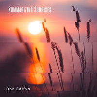 Don Salfva - Summarizing Sunrises