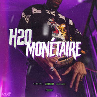 H2O - Monétaire (Explicit)