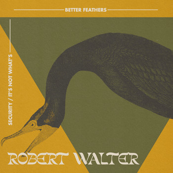 Robert Walter - Security / It's Not What’s