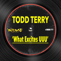 Todd Terry - What Excites UUU